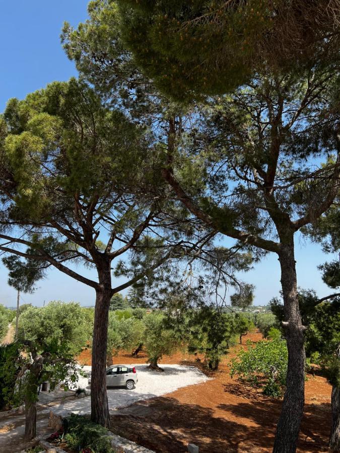 Masseria Concorrano Apartment Castellana Grotte Ngoại thất bức ảnh